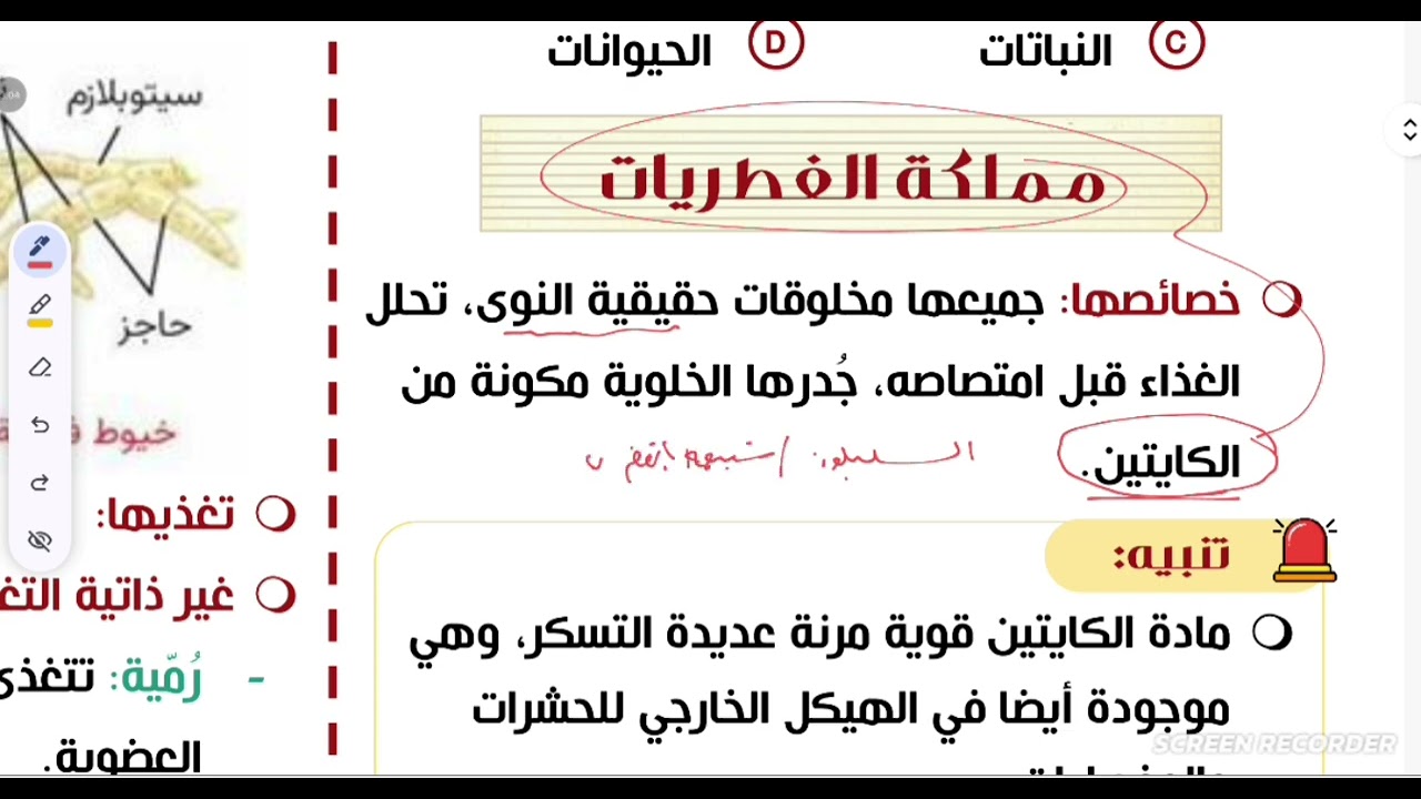 الطحالب - الطلائعيات الشبيهة بالنباتات تحصيلي أحياء 2026 / 1447