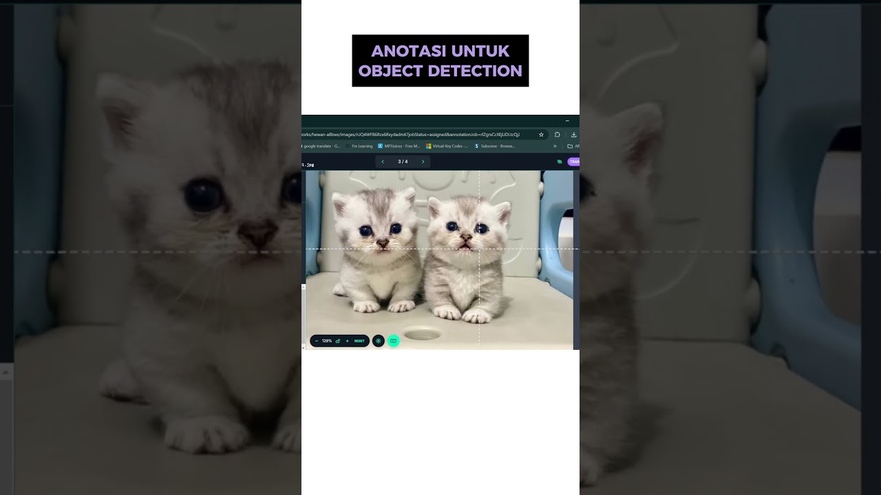 CARA MUDAH ANOTASI BOUNDING BOX DI ROBOFLOW 