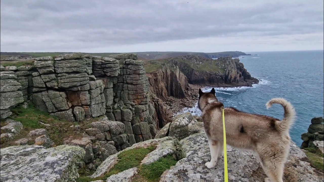 Husky Explores The Cliffs Of Lands End pt2