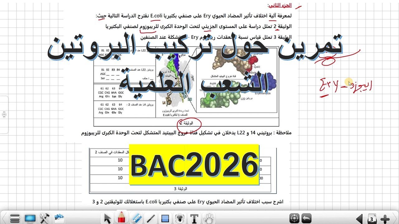 تمرين مسعى علمي حول تركيبب البروتين  ,تدرب على المنهجية علوم طبيعية الثالثة ثانوي باك2026