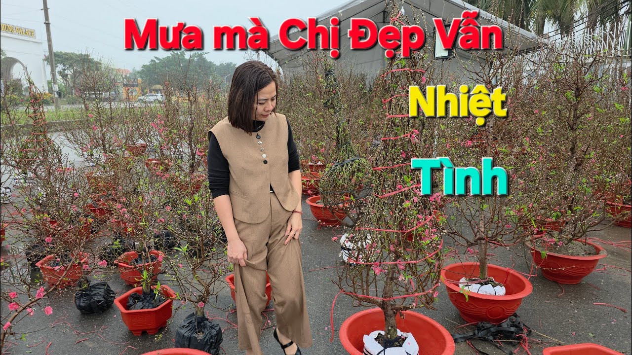Cập nhật Giá cả Ngày 25 Tết Tại Chợ Hoa Đồng Gia Kim Thành Hải Phòng  