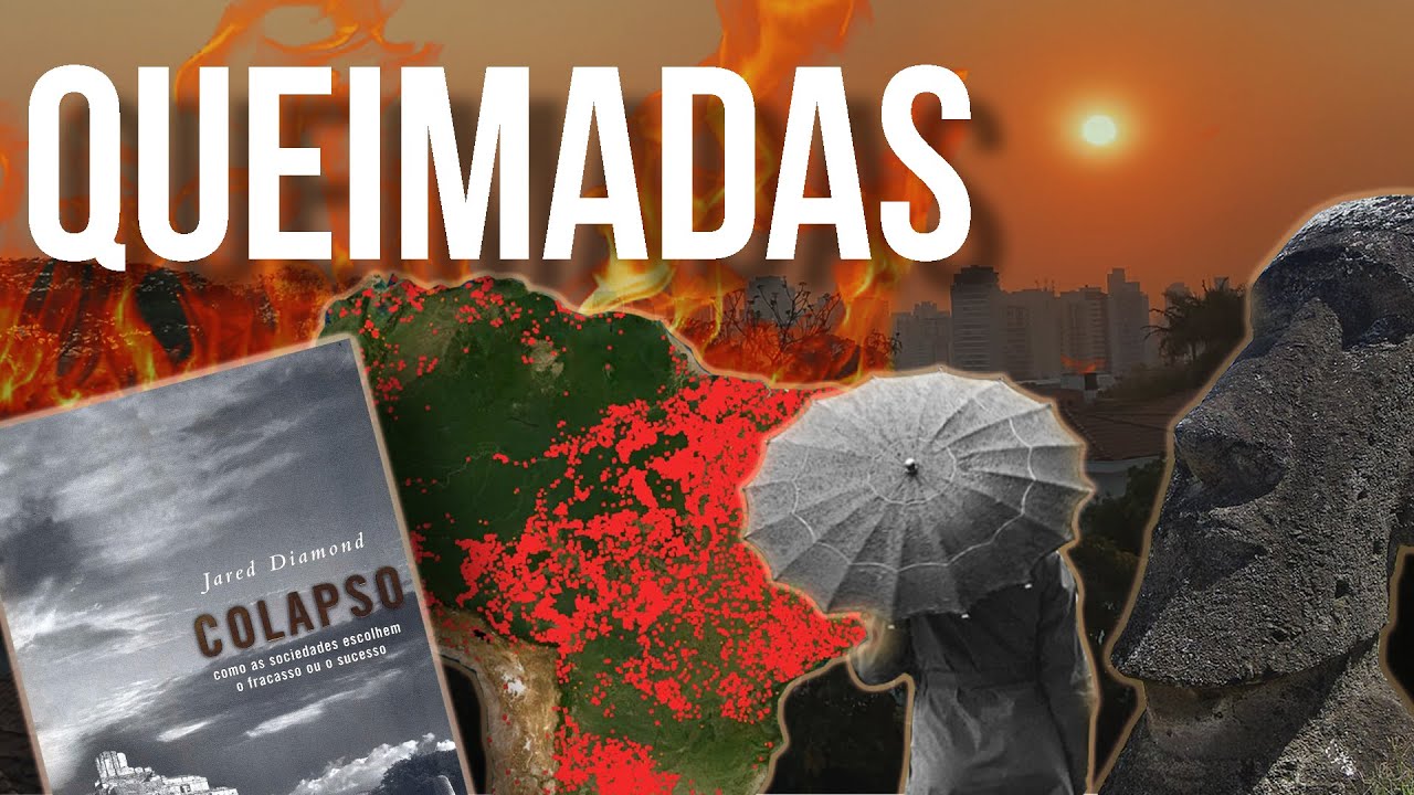 Queimadas no Brasil: EXPLICADO