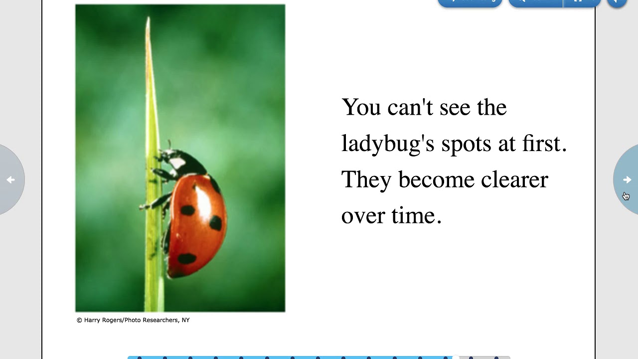 Math Activity: Counting Ladybug Spots!