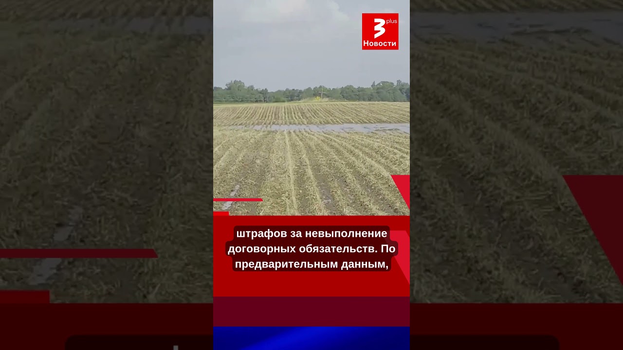 Шторм уничтожил 56 тысяч гектаров посевов