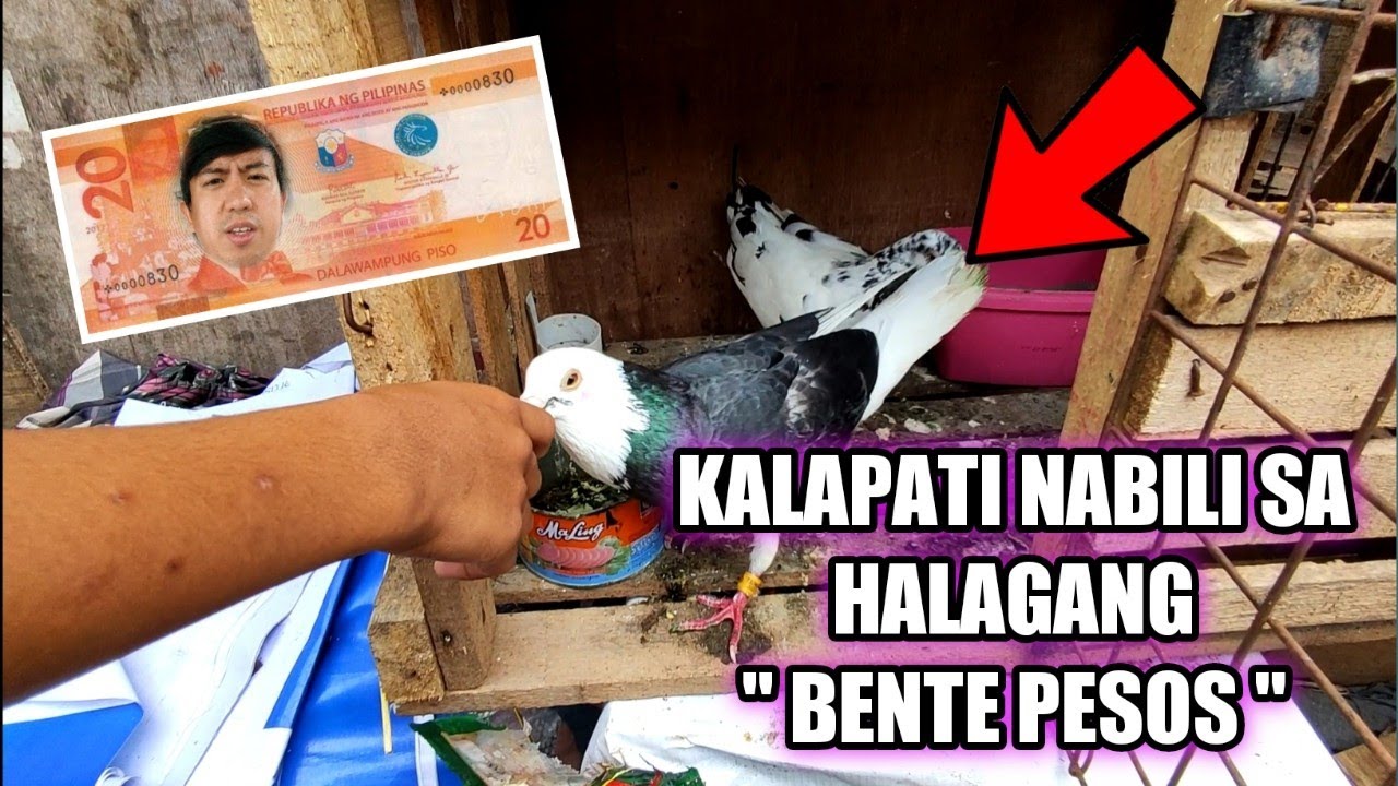 KALAPATI NABILI SA HALAGANG 