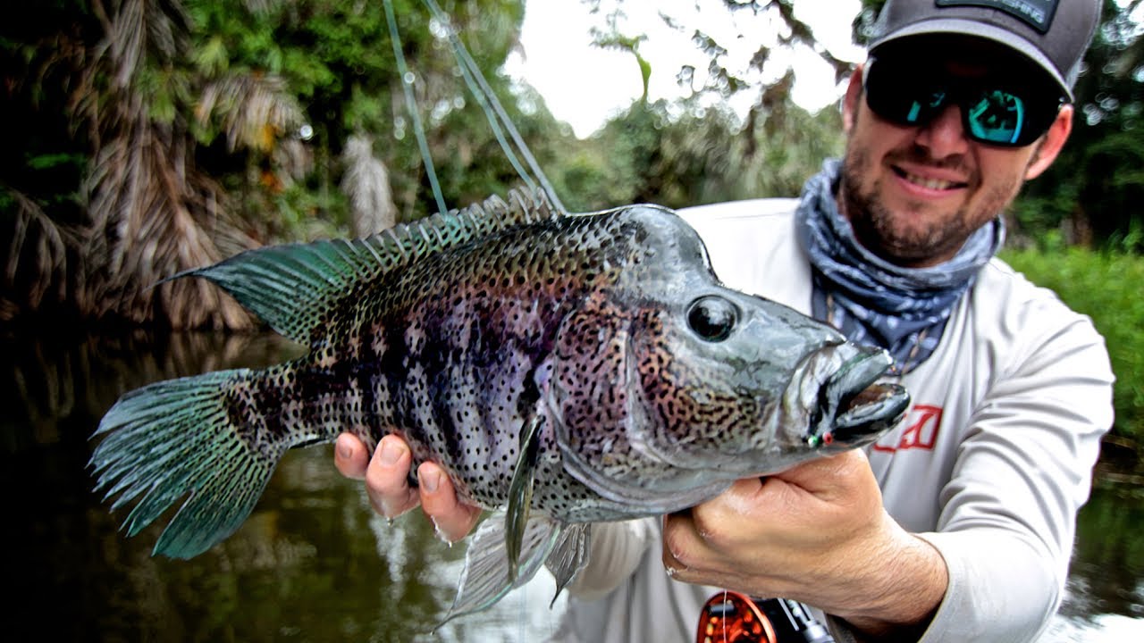GEOBASS: JUNGLE BASS - NICARAGUA