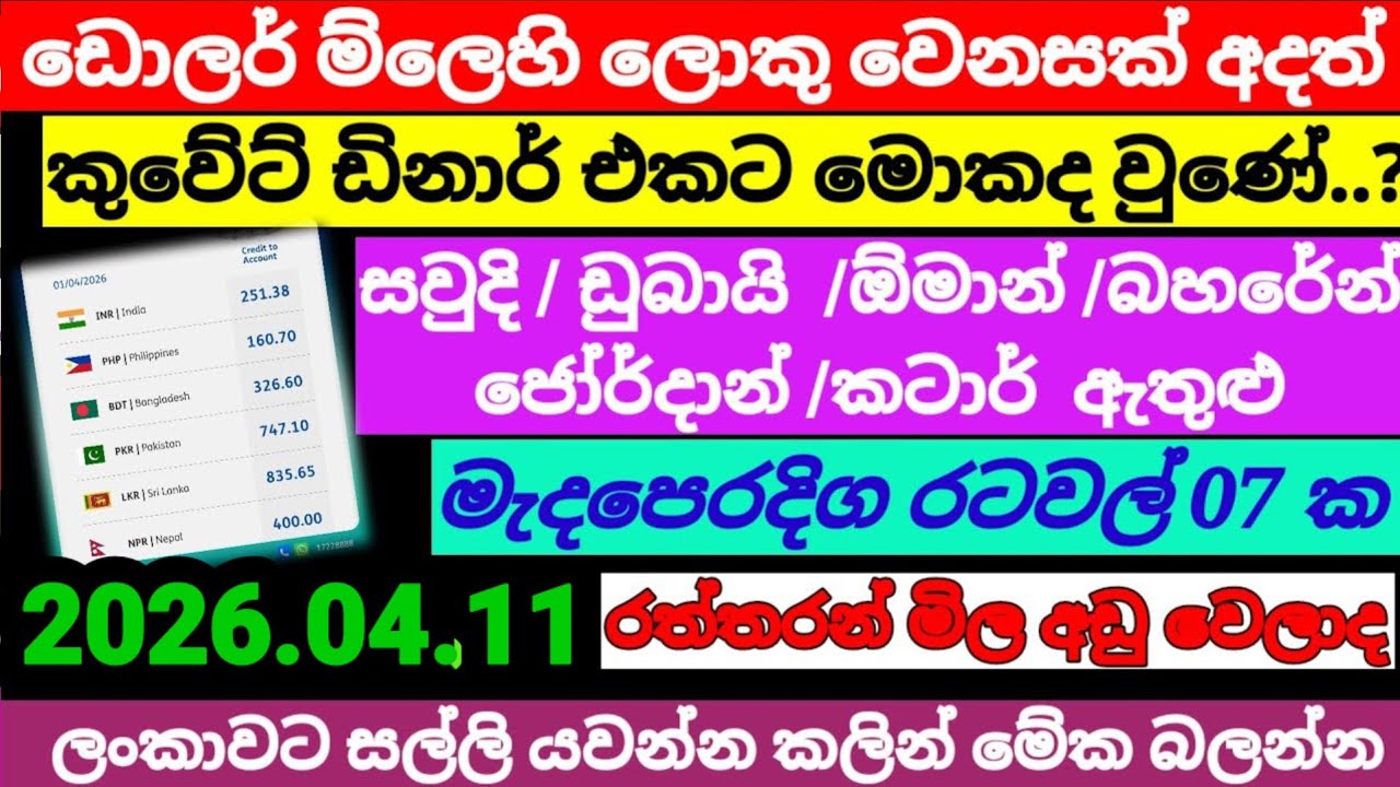 කුවේට් ඩිනාර් එකට සුපිරි ම්ලක්|dollar exchange rate today |currency|remittance| 2026.04.11
