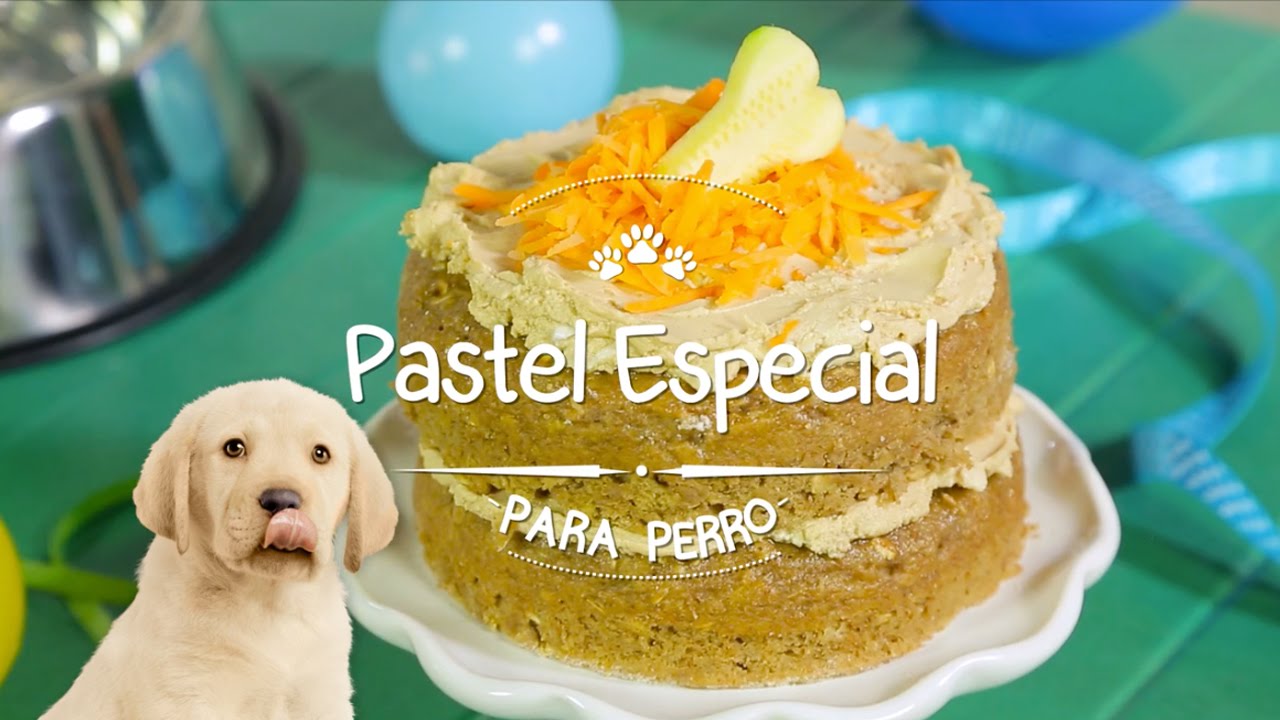 Pastel especial para perro.