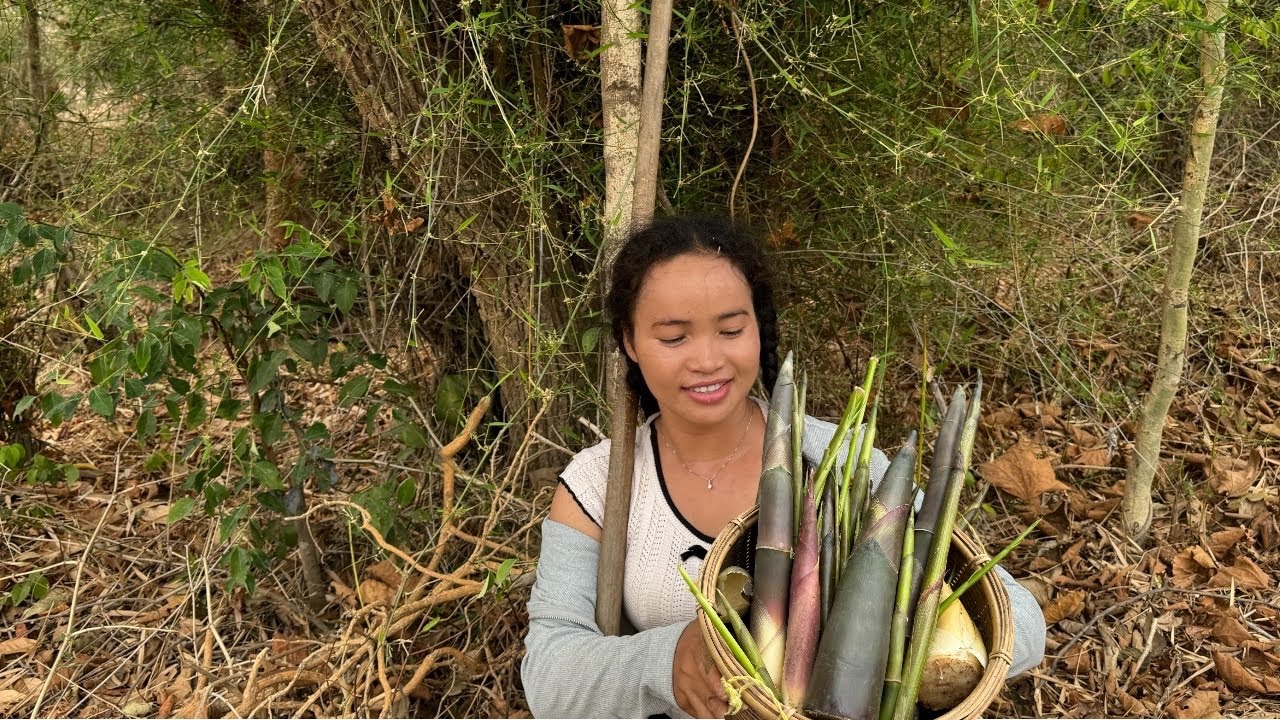 หาหน่อไม้หน้าแล้งรอบแรกของปีนี้🇱🇦 Looking for bamboo shoots in the dry season ຫາໜໍ່ໄມ້ຍາມແລ້ງ
