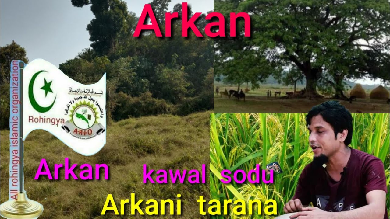 singar sodu song and Arkani Rohingya New Best tarana