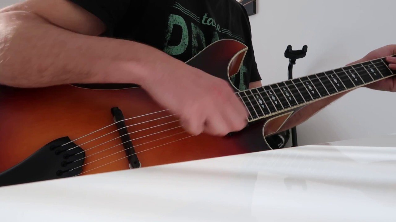 Mi se mamo radi - Erman DSC 17 Gitarre (Kitara)