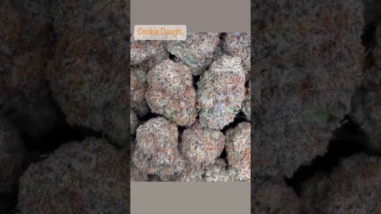 #exotic #flower #cannabiseducation #cannabisheals #cannabisdaily #topshelf