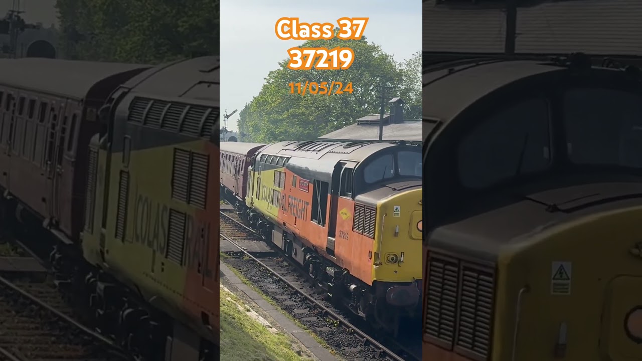 Colas rail freight class 37 37219 at Swanage diesel gala #train #trains #trainspotting #class37