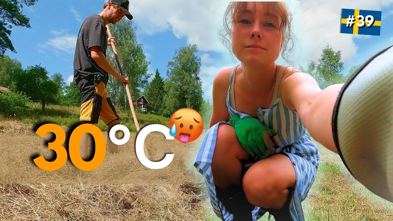 HITTEGOLF op de MICROFARM - Kan het hier echt zo warm worden?! #39
