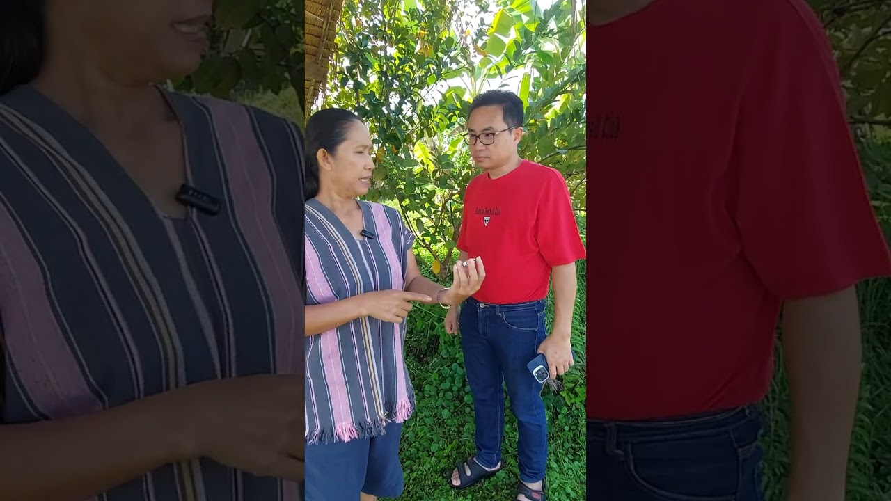 ปราบเซียน