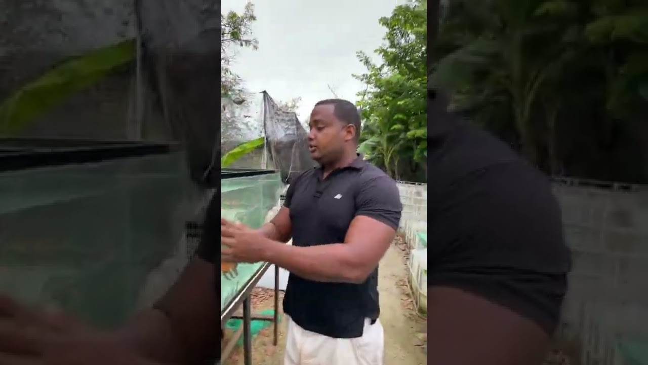 C&oacute;mo que facilidad se pueden morir los peces de mi acuario