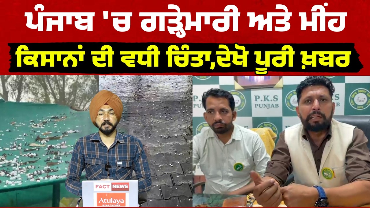 Weather Report : ਪੰਜਾਬ 'ਚ ਗੜ੍ਹੇਮਾਰੀ ਅਤੇ ਮੀਂਹ, ਕਿਸਾਨਾਂ ਦੀ ਵਧੀ ਚਿੰਤਾ, ਦੇਖੋ ਪੂਰੀ ਖ਼ਬਰ