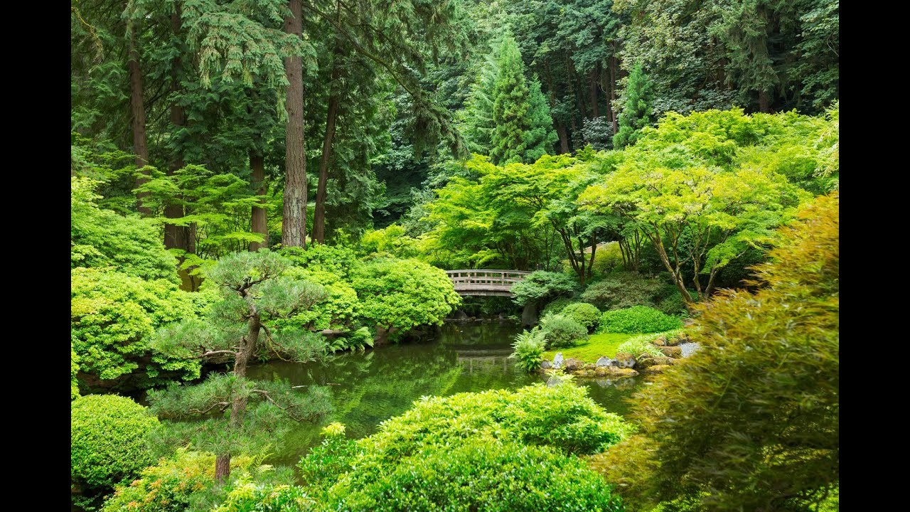 Relaxation Visualization Zen Garden Talk Down: Sleep & Stress Relief
