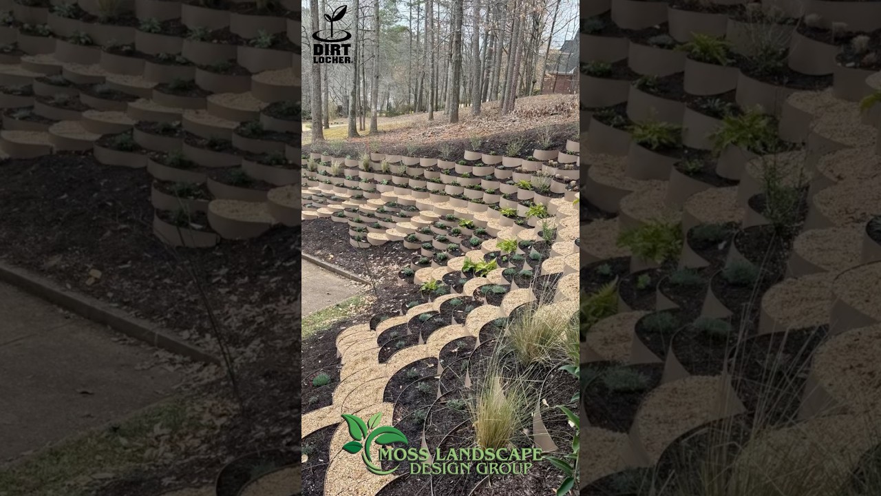 Landscaping on a slope with Dirt Lockers to control erosion by reducing water runoff and saving soil