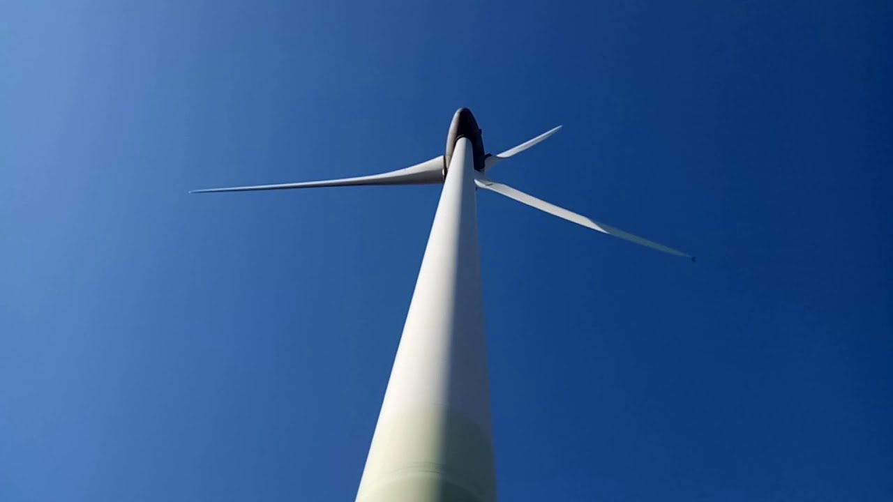 Рыбалка на Дунае 2, 3 октября 2020. Румынский рыбнадзор.