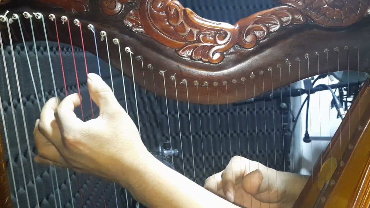 COVER  ALICIA DELGADO QUILLABAMBINO