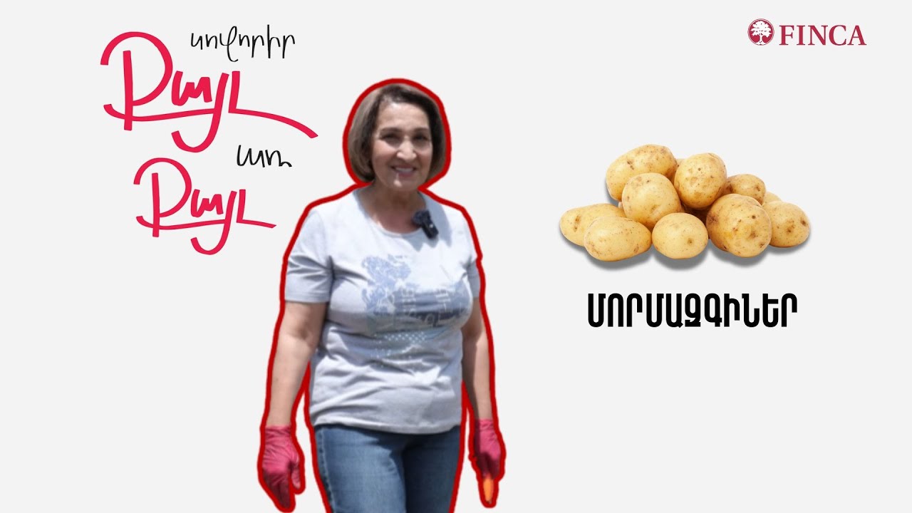 Սովորիր ՔԱՅԼ առ ՔԱՅԼ - Մորմազգիներ