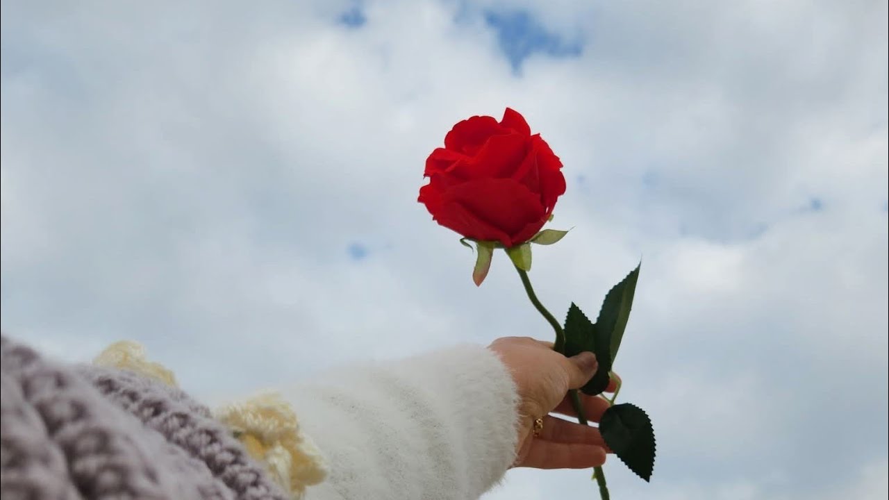 قلوبنا بين يديك ياالله فآختر لنا الخير دائماً 🕊️