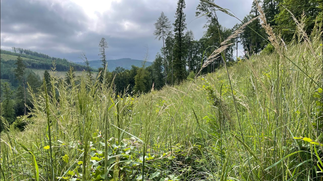 Bílé Karpaty - Z Trenčína do Žítkové