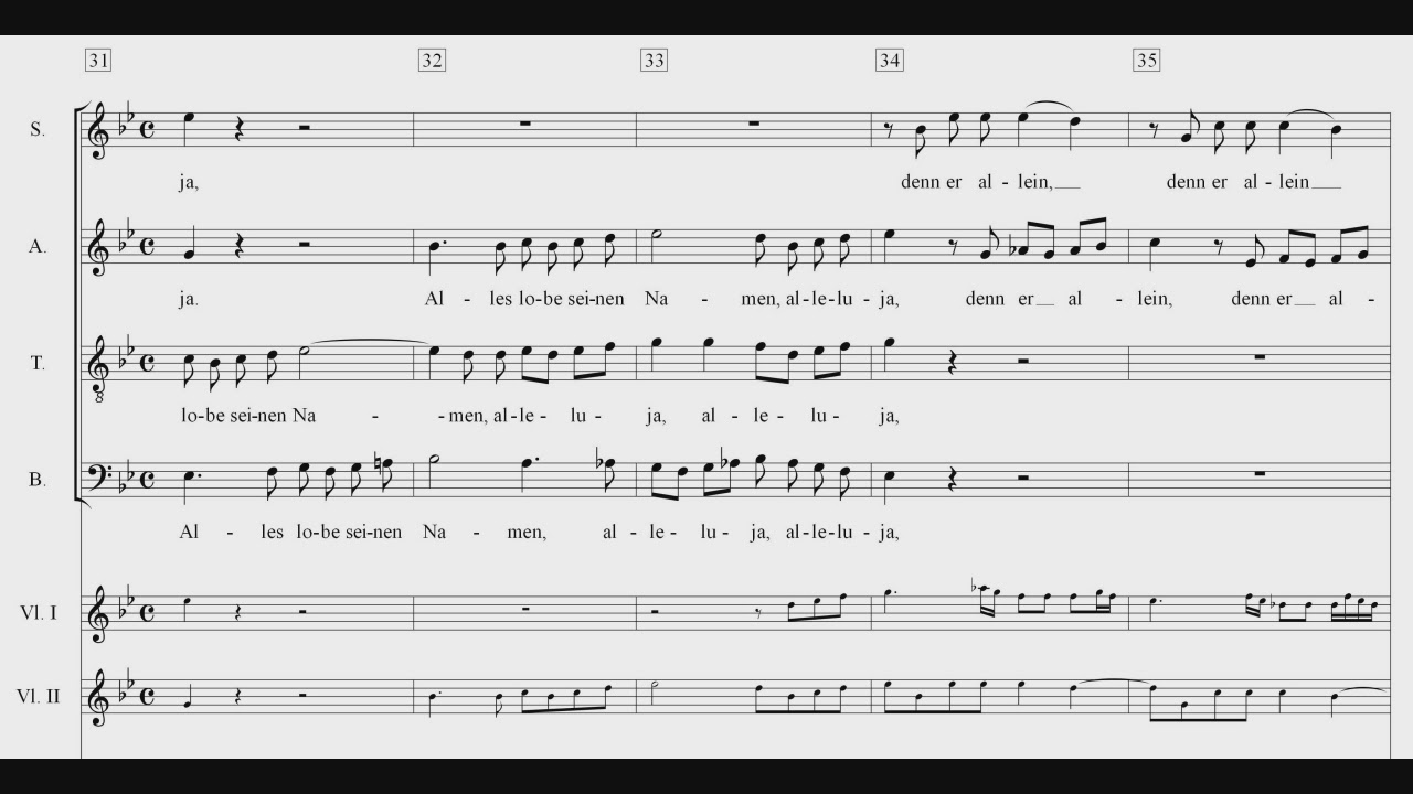 Haydn Schöpfung 28 Vollendet des Herren Lob Bass