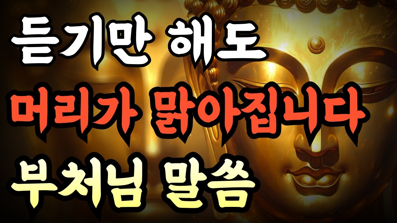 [듣기만 해도 머리가 맑아집니다] | 복잡한 생각이 정리됩니다 | 부처님 말씀영상