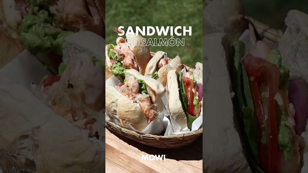 Sandwich de salm&oacute;n asado