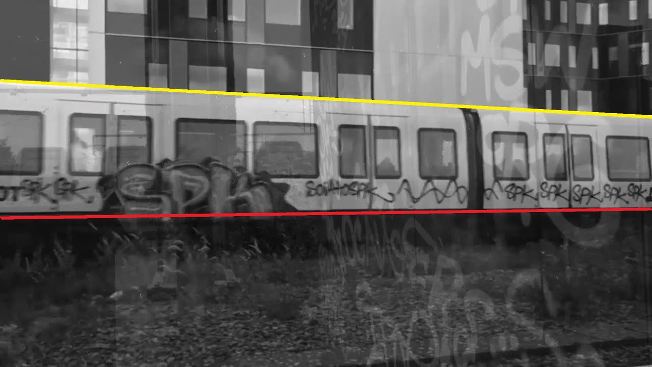 ROGAL DDL  - TAK TO WIDZ3
