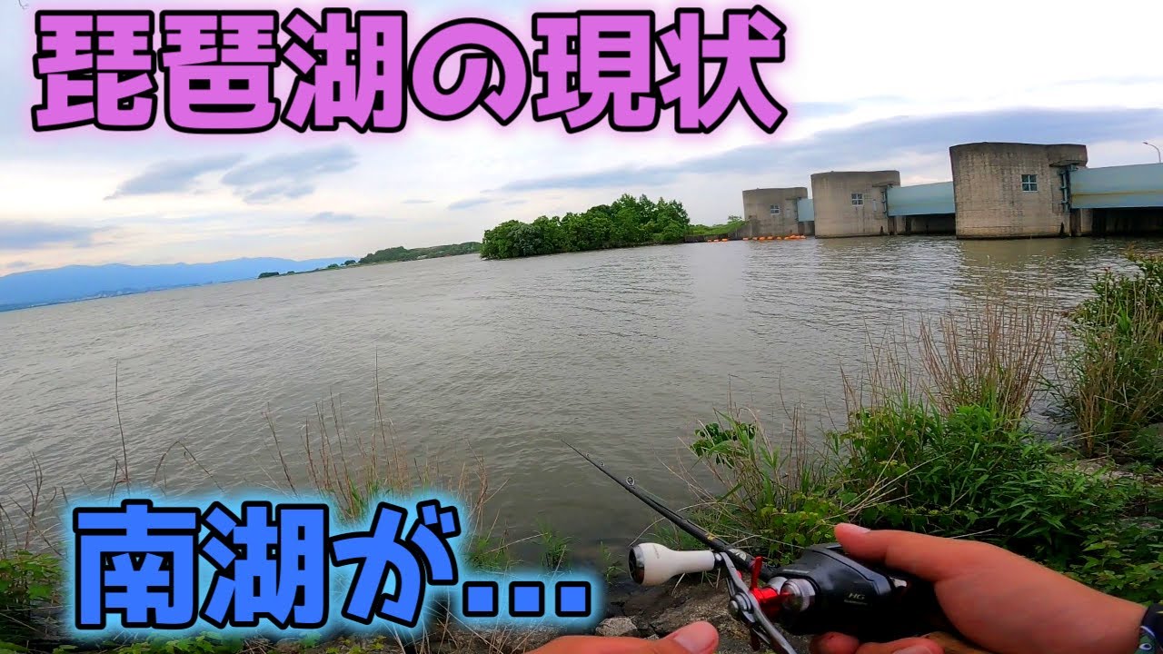 これが琵琶湖南湖の現実、、、【琵琶湖バス釣り】