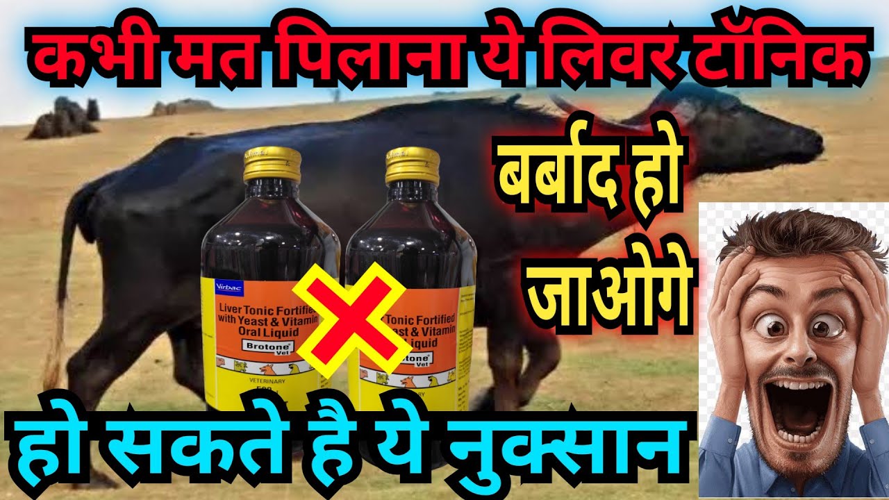 Brotone Vet liver tonic || Brotone vet ke fayede || poultry me uses brotone ke #brotone #cowbuffalo