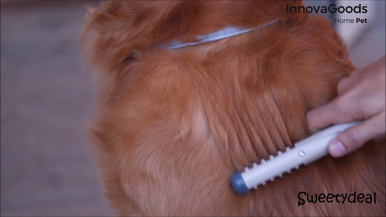 PEIGNE &Eacute;LECTRIQUE COUPE N&OElig;UDS POUR CHIENS