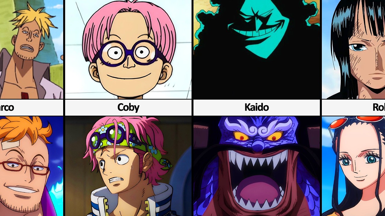 How One Piece Characters Changed ?