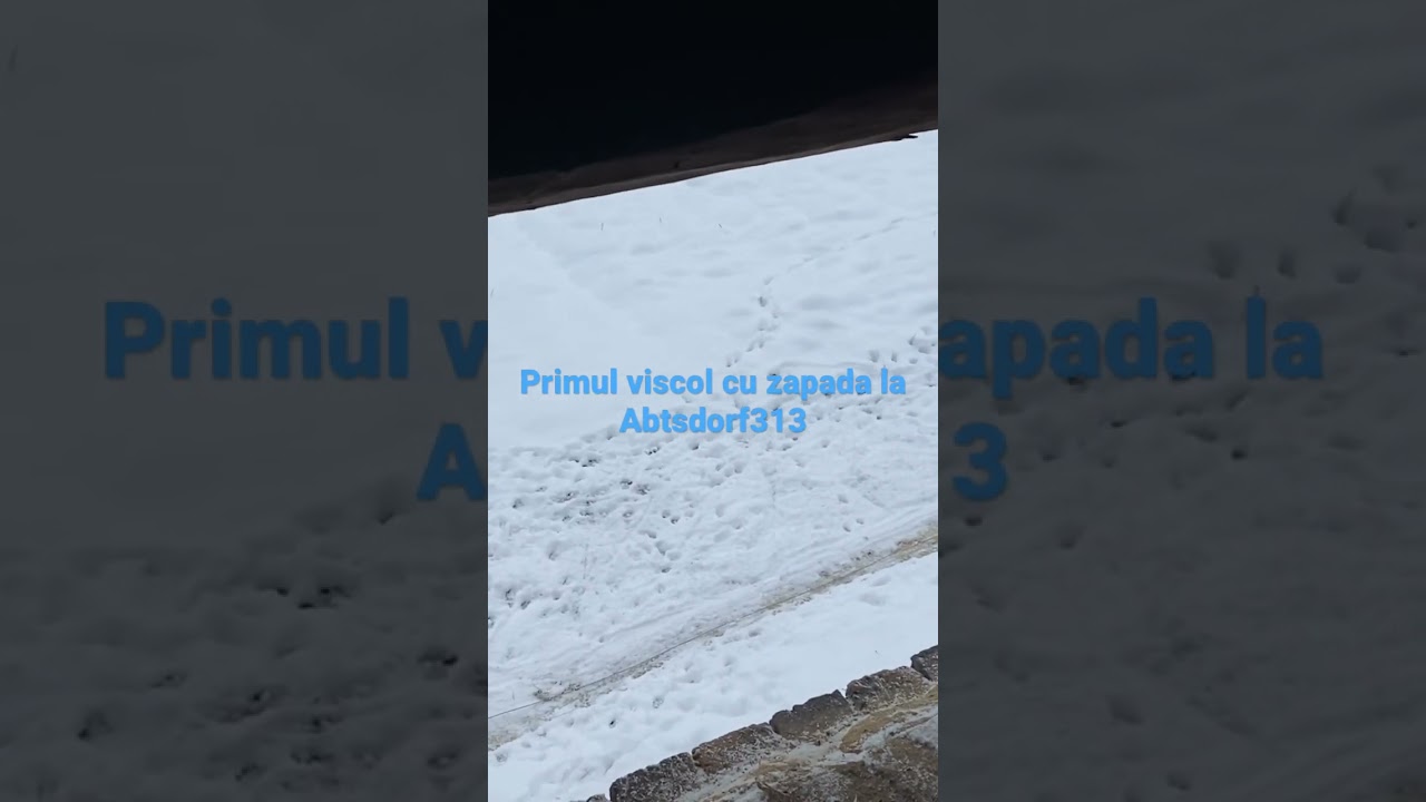 Primul viscol cu zapada la Abtsdorf313.