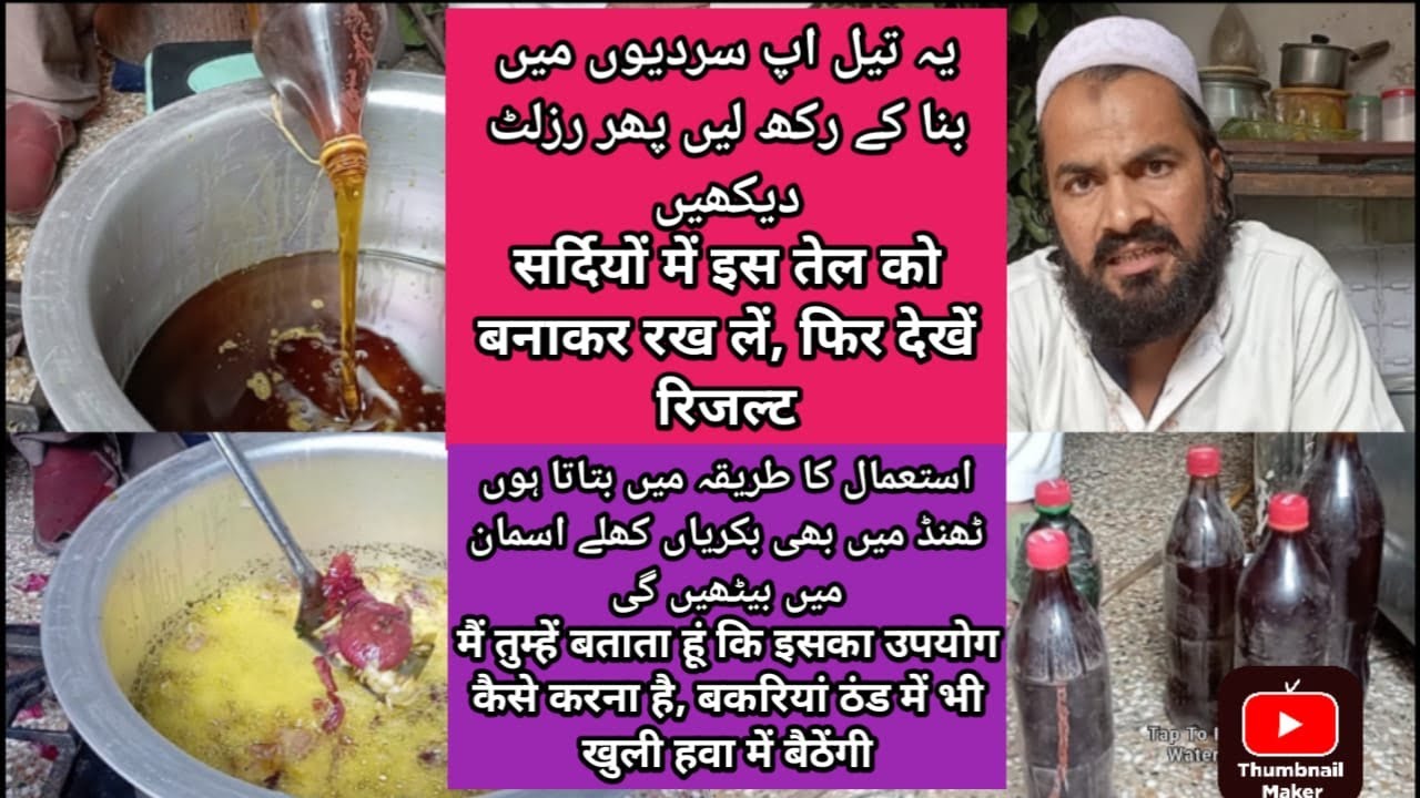 یہ تیل بکریوں کو اندر سے مضبوط کر دے گا This oil will strengthen the goats from within