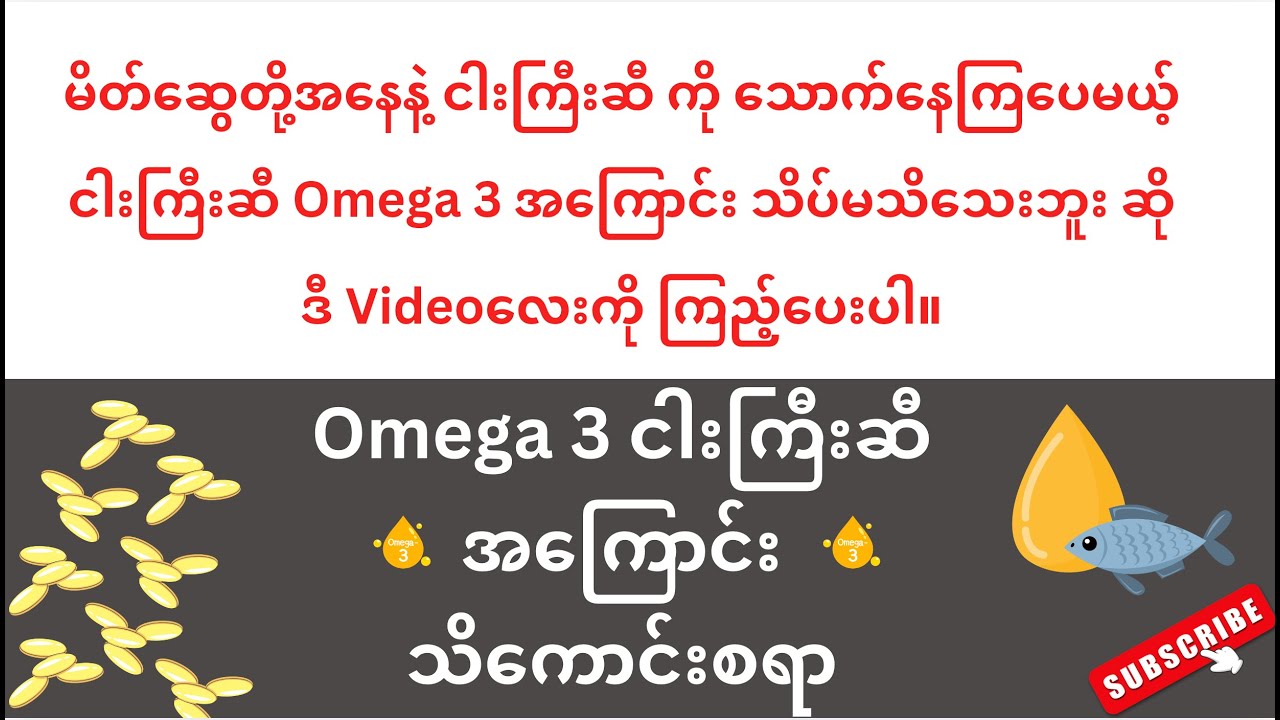 Omega 3 ငါးကြီးဆီ အကြောင်း သိကောင်းစရာ