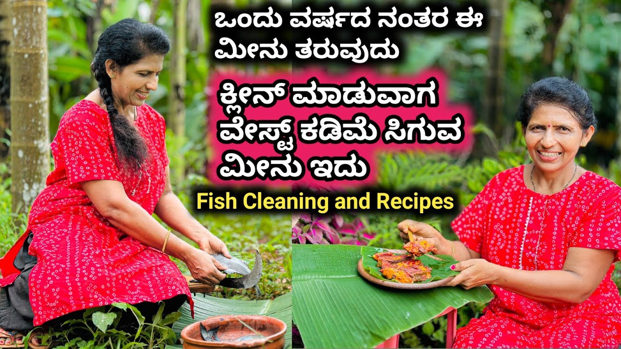 ಕ್ಲೀನ್ ಮಾಡುವಾಗ ವೇಸ್ಟ್ ಕಡಿಮೆ ಸಿಗುವ ಮೀನು ಇದು-ರುಚಿ ಹೆಚ್ಚು ವೇಸ್ಟ್ ಕಡಿಮೆ-ಒಂದು ವರ್ಷದ ನಂತರ ಈ ಮೀನು ತರುವುದು