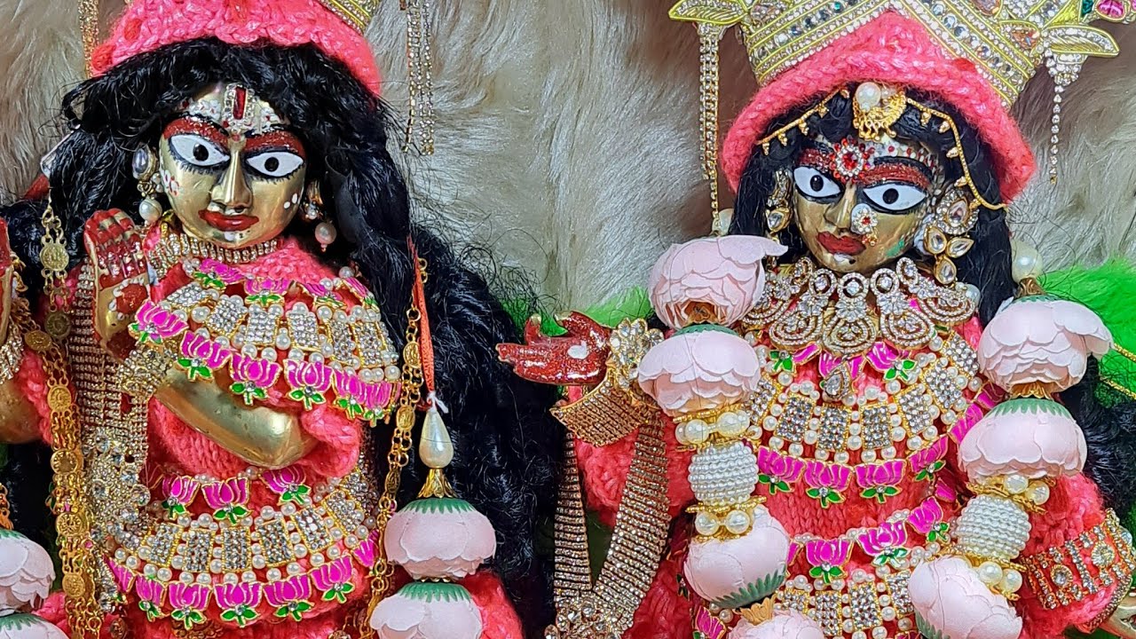 विजया एकादशी की शास्त्रोक्त विधान से पूजा विधी क्या कैसे करना है पूरी जानकारी जानिए #viral #new #yt