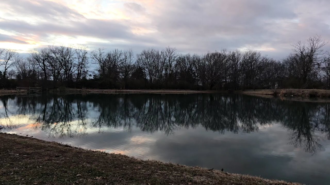 Dramatic Cobalt Wintry Sunset | NO ADS | ANGELIC AMBIANCE