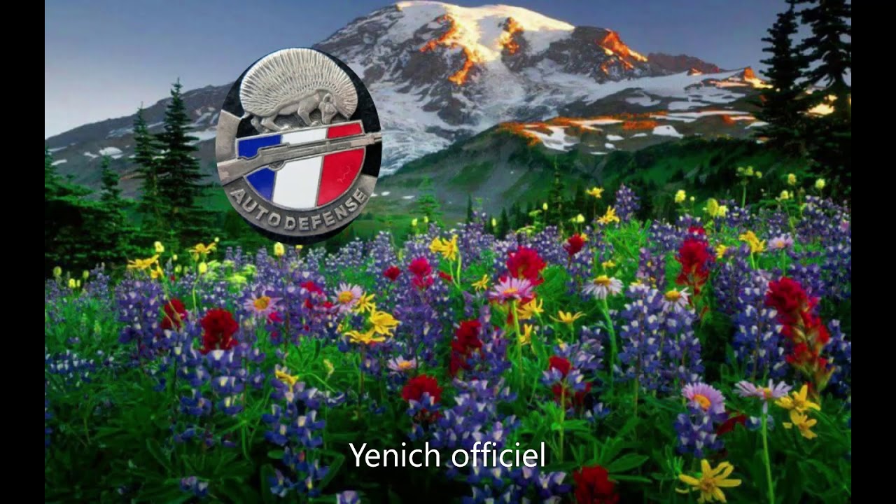 ( alpen melodie ) ( ein klein edelweiss ) ( Yenich officiel )