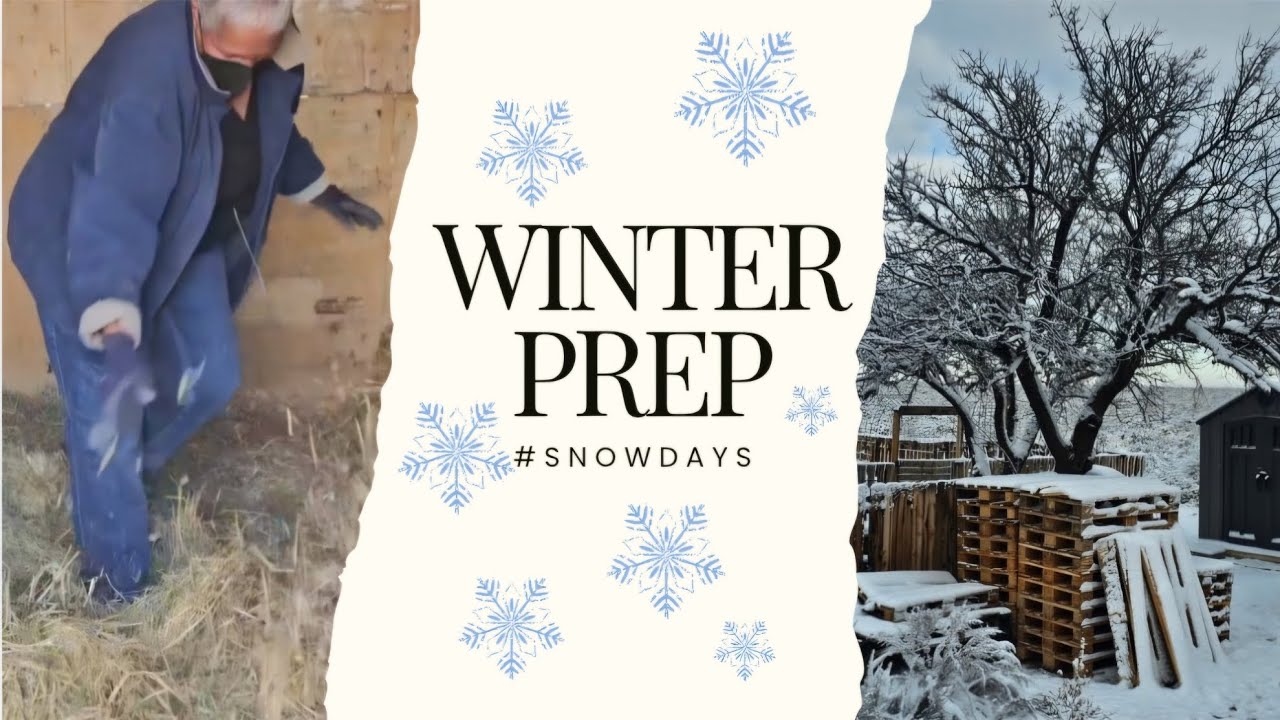 PREPPING FOR SNOW! 🌨️
