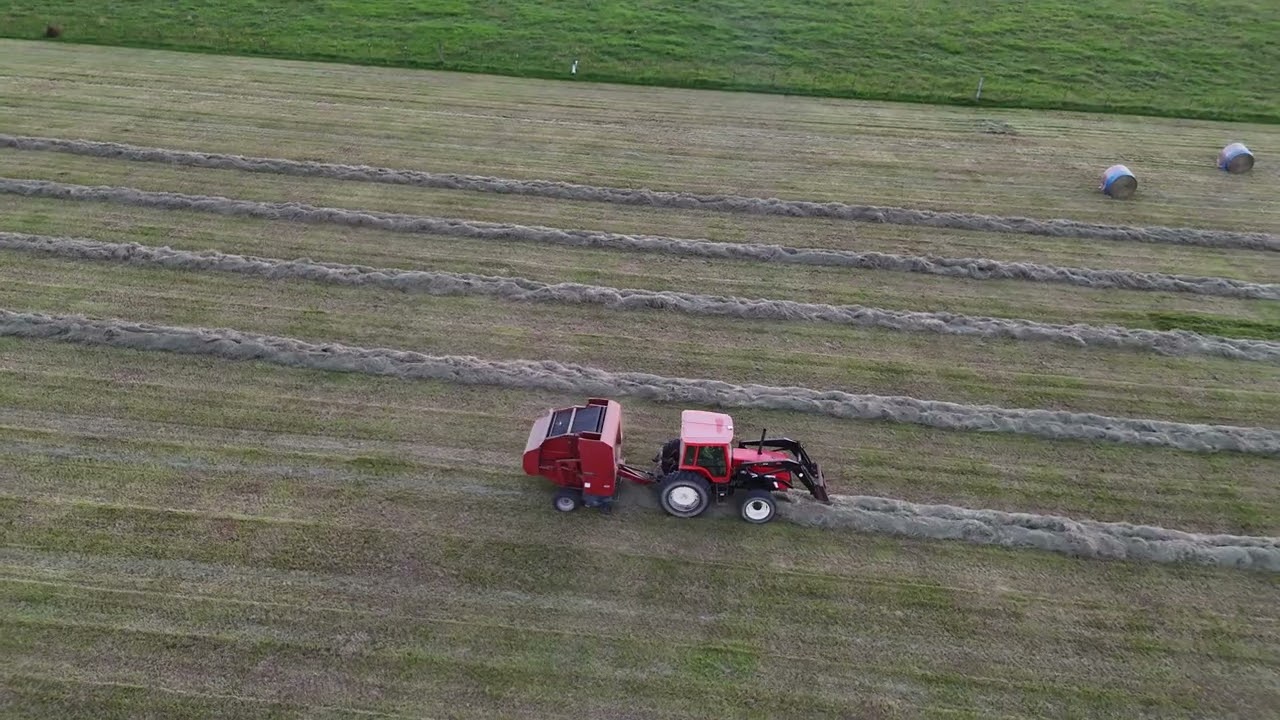 Anyone else missing hay season right about now?