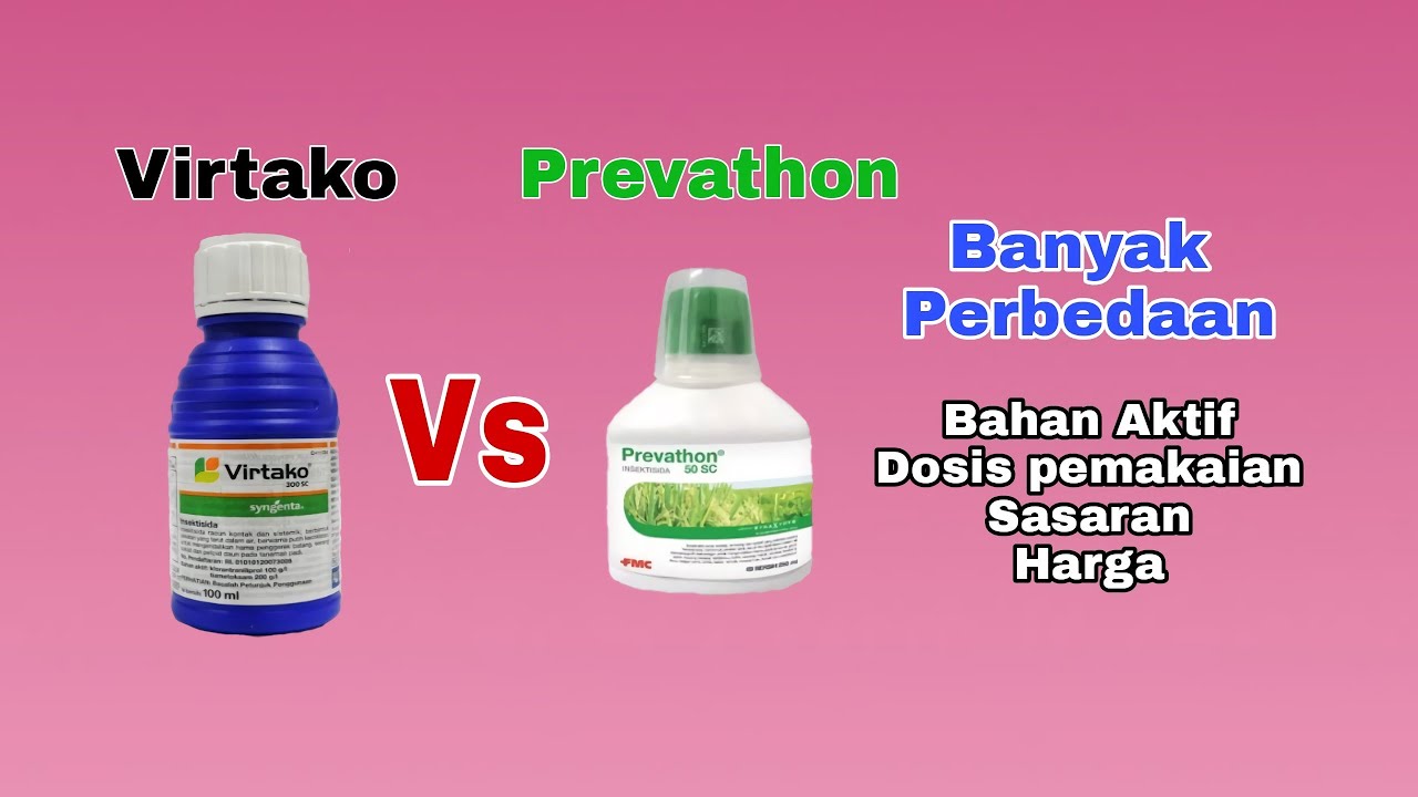 Perbedaan antara Virtako dengan Prevathon