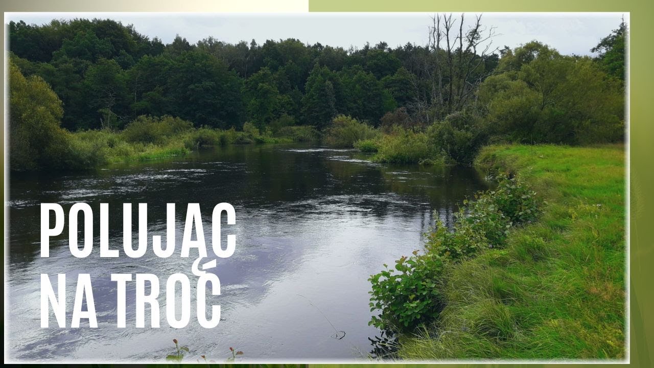 Byłem na Trociach! Cz.1. Spinning. Sierpień 2023 #wędkarstwo #river