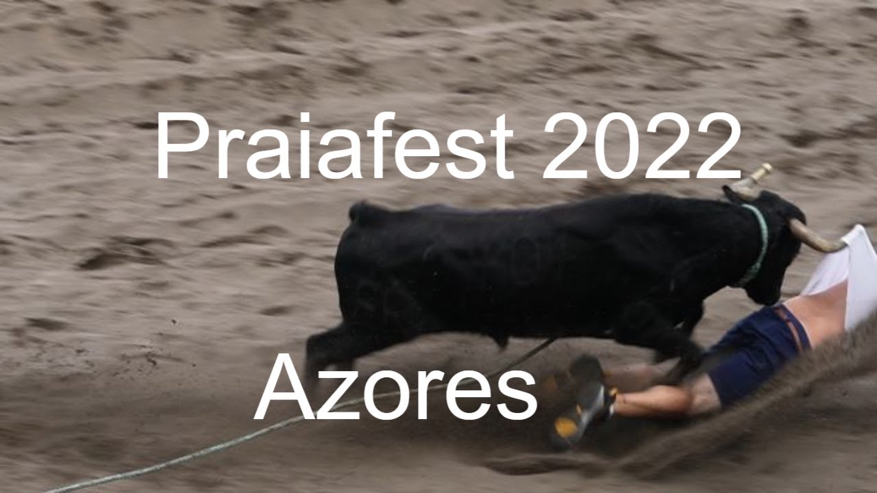 Touradas a corda 📍PRAIA BEACH Ilha Terceira-A&ccedil;ores - 07 de Agosto 2022 - Praiafest | Real_Bwaite