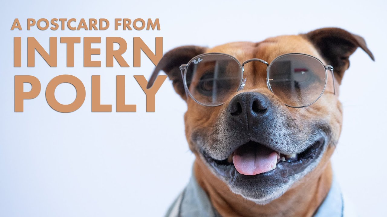A Postcard from Intern Polly