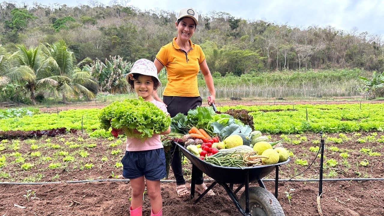 Alta produção simultânea no sítio, fiz a feira da semana na minha própria horta